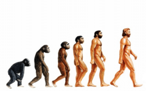 Pengertian Evolusi